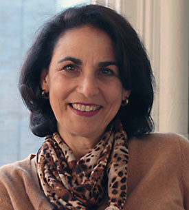 The HRC Team Consultant
