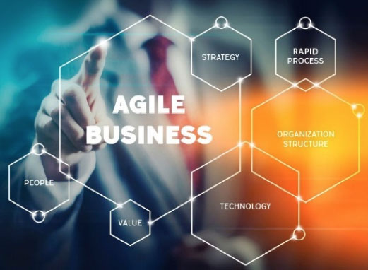agile business